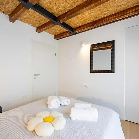 Yasmin&viola Daire Zadar